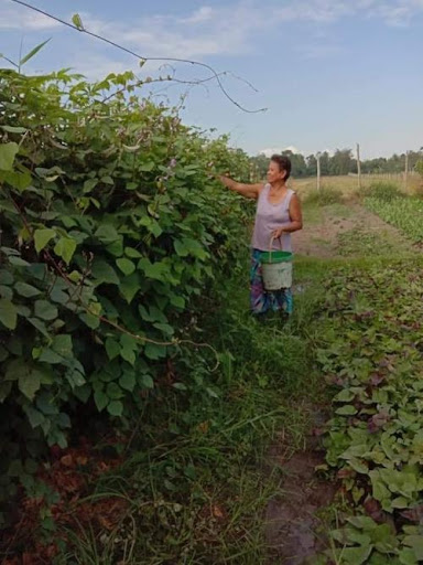 KSK farmer-graduate provides food for her family, others through her produce