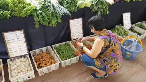 SM Foundation provides venues for local farmers’ social enterprises