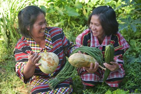 50 KSK farmers in Benguet get TESDA certification