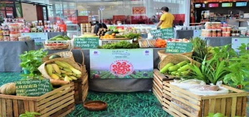 SM Foundation opens opportunities for KSK farmers