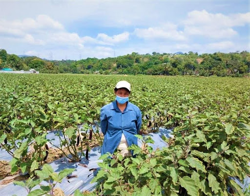 Farmer widens knowledge in agri-enterprise, network through the SM KSK program