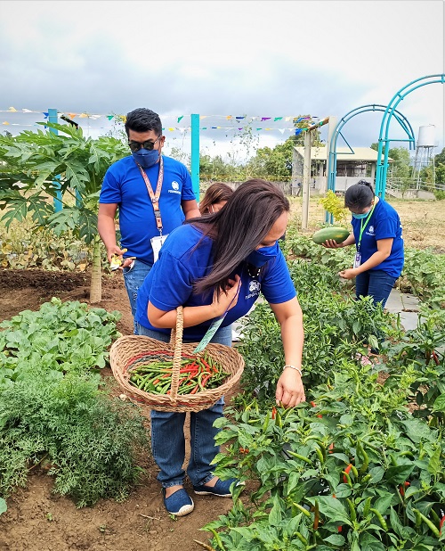 SM’s Kabalikat Sa Kabuhayan: A greener path for Batangas Farmers