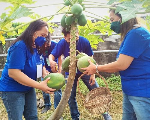 SM’s Kabalikat Sa Kabuhayan: A greener path for Batangas Farmers