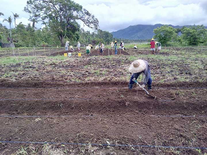 Land Preparation