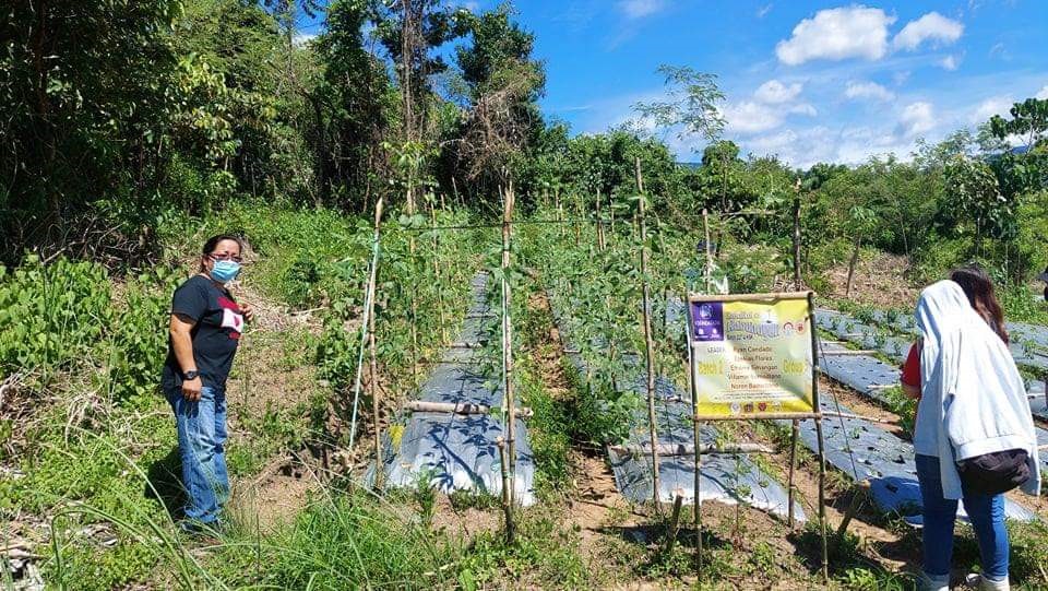 KSK on Sustainable Agriculture: More than just a farmers’ training program