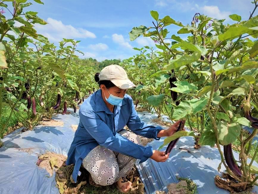 Farmer widens knowledge in agri-enterprise, network through the SM KSK program