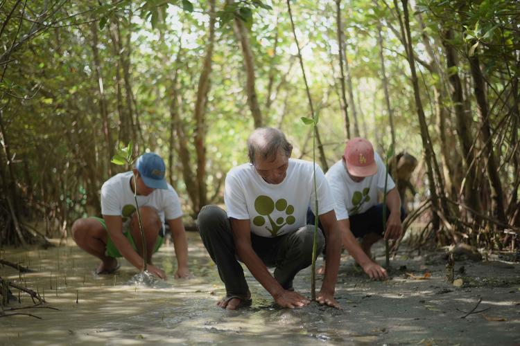 SM Foundation and Fast Retailing Foundation join hands to protect coastal villages