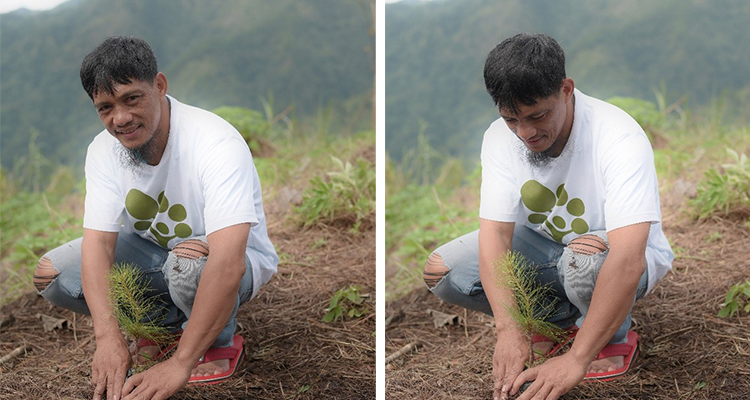 Planting dreams with ‘Grow Trees Community’ in Benguet