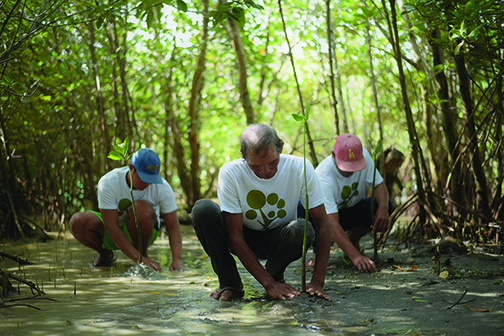 It takes a community to raise trees