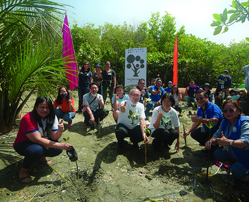 It takes a community to raise trees