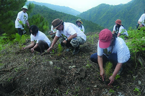 It takes a community to raise trees