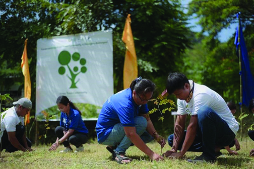 It takes a community to raise trees