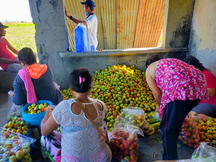 KSK Farmer: ‘Nasa puso ko ang pagtatanim’