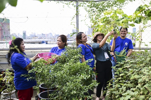 Hope in farming takes root in urban communities