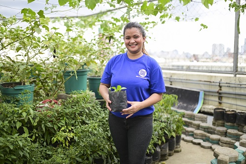 Hope in farming takes root in urban communities