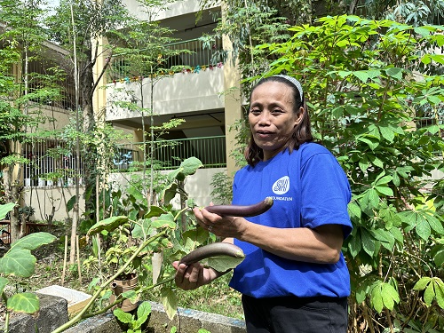 From adversity to abundance: The triumph of mothers in urban gardening