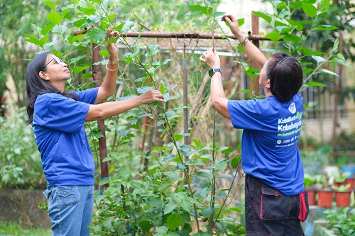 From adversity to abundance: The triumph of mothers in urban gardening
