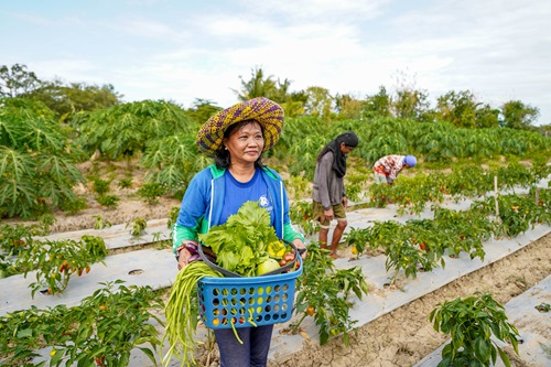 SM Foundation’s farmer training graduate: ‘Pagsasakang may kaakibat na kaalaman’