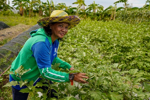 SM Foundation’s farmer training graduate: ‘Pagsasakang may kaakibat na kaalaman’