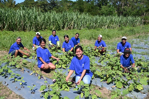 SM Foundation Philippine NGO-CSR-4-Farmer