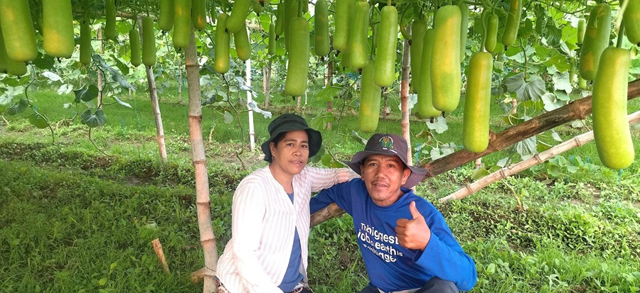 Boy Juan and his wife Analyn uses a portion of their farm to grow upo.
